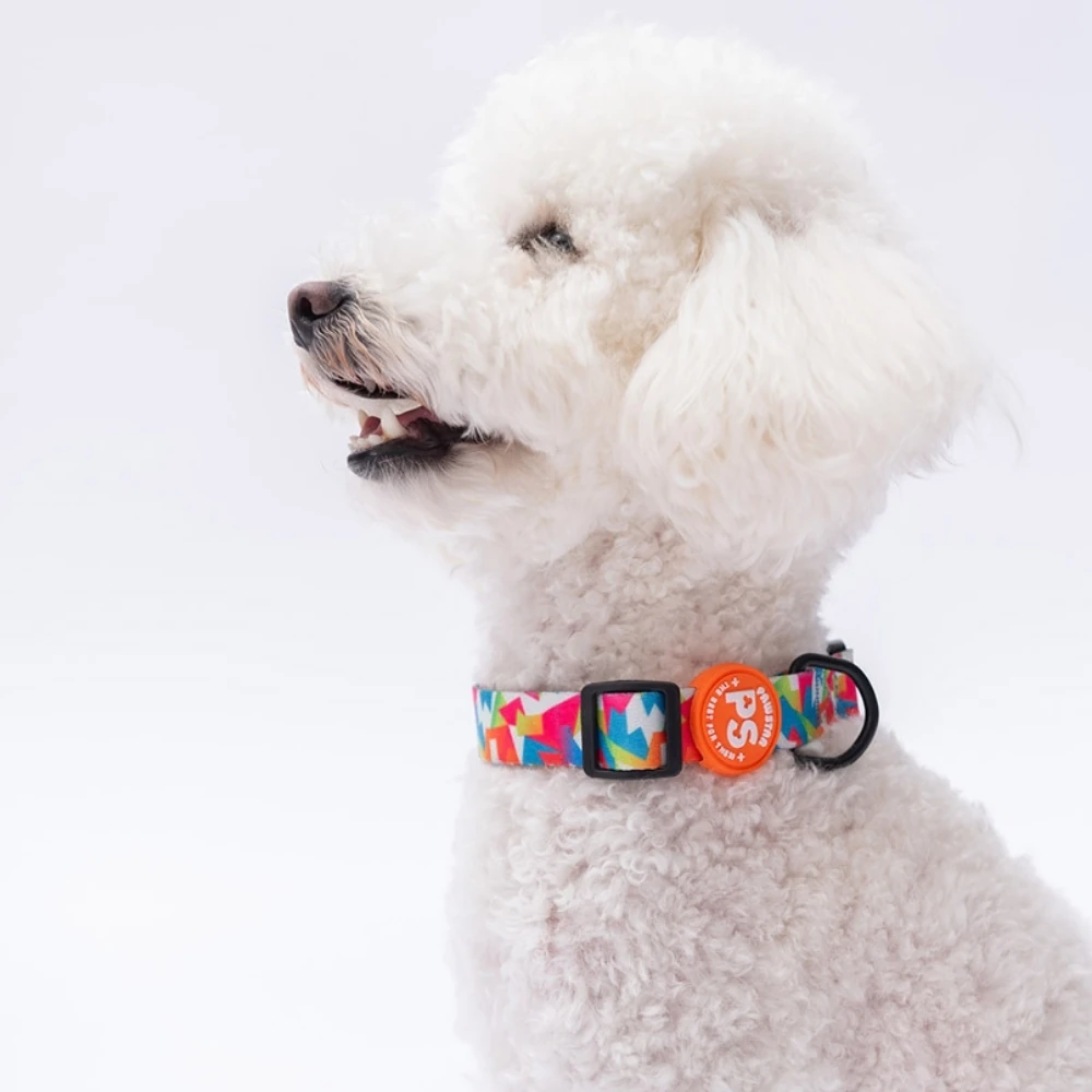 DC26-Mosaic Boyun Tasması