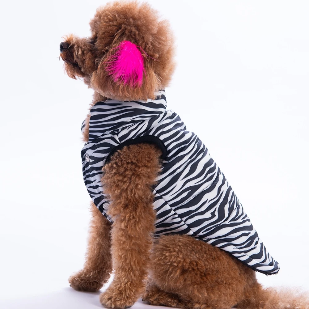 25107 Lodwar Street Yelek