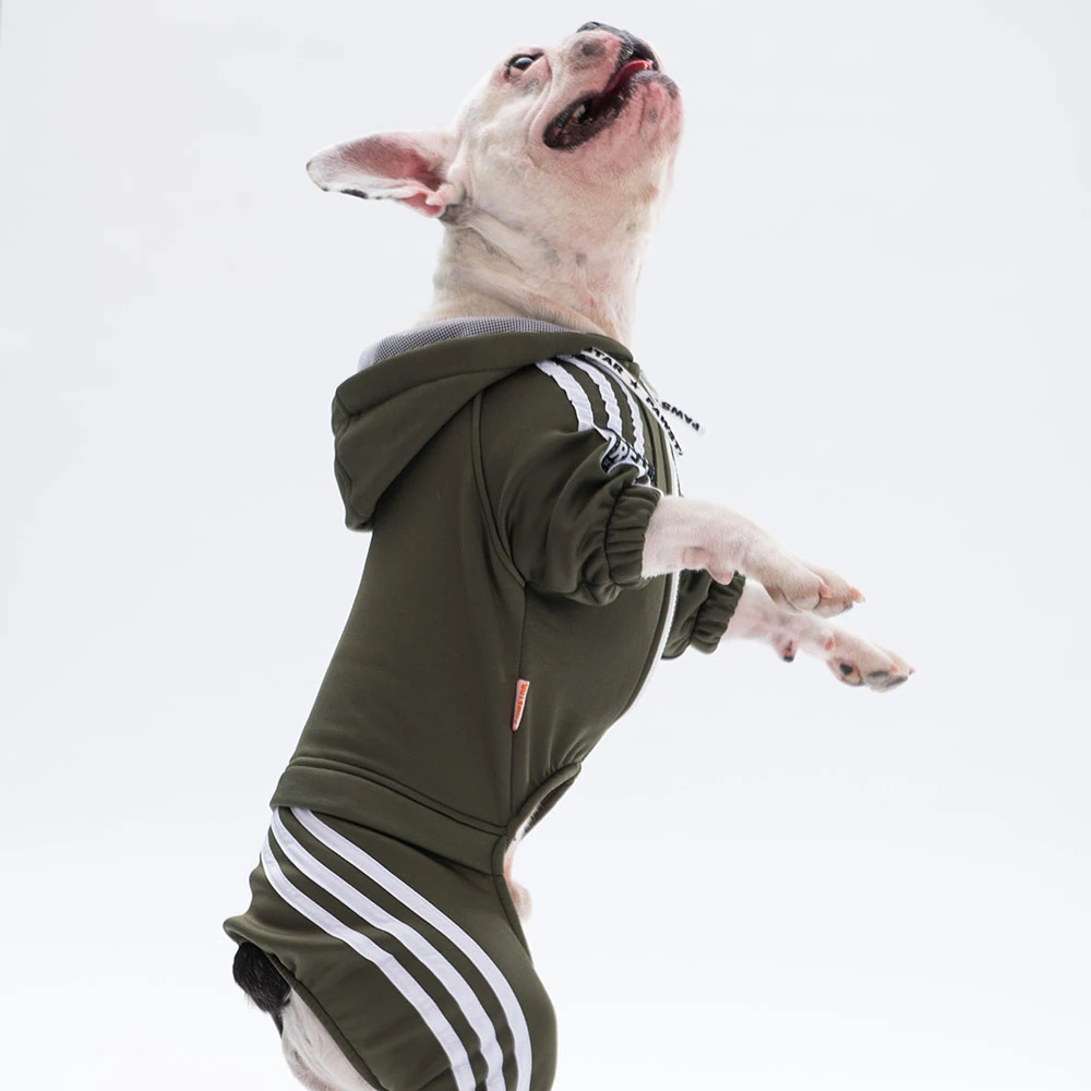 23913 Haki Tuta Tulum