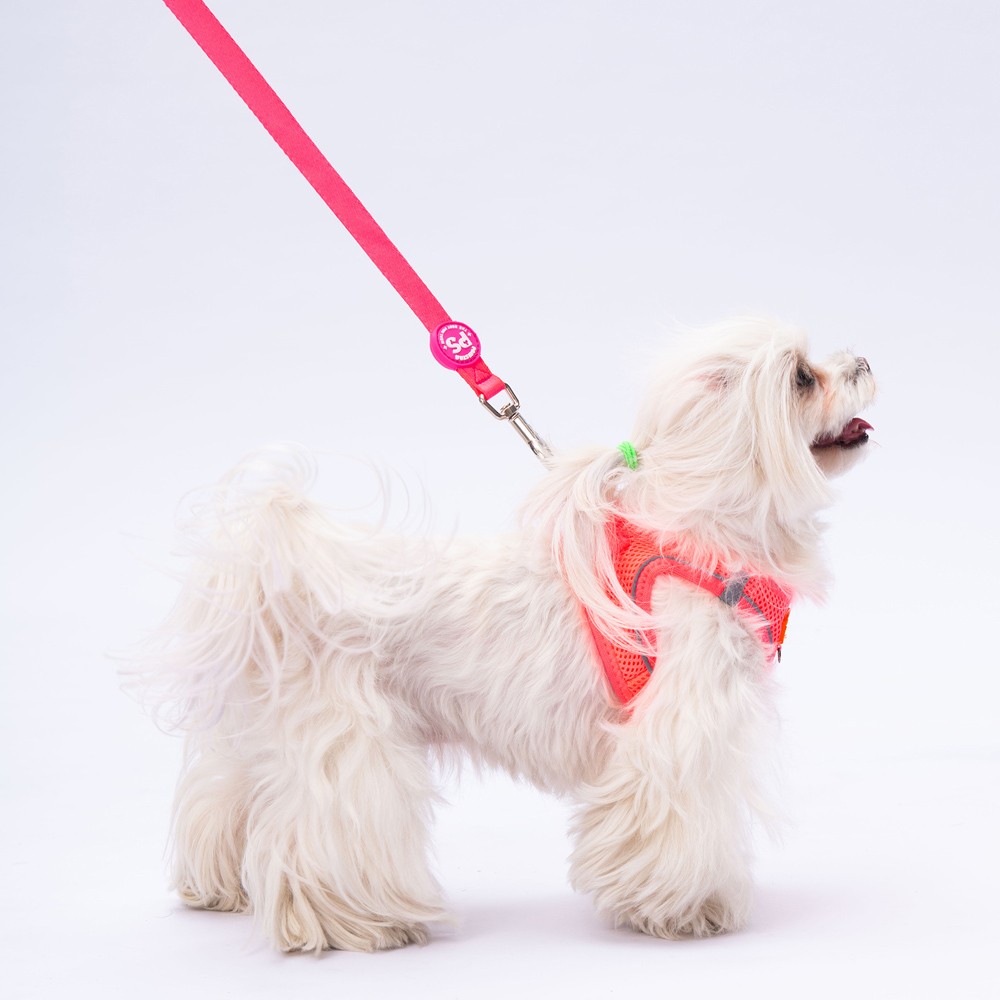 L03 Neon Pembe Sevk Kayışı