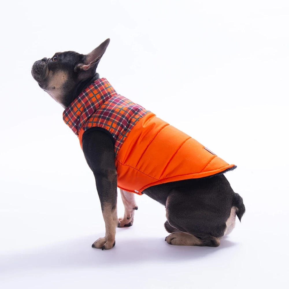 25102 Turuncu Elgin Paws Yelek