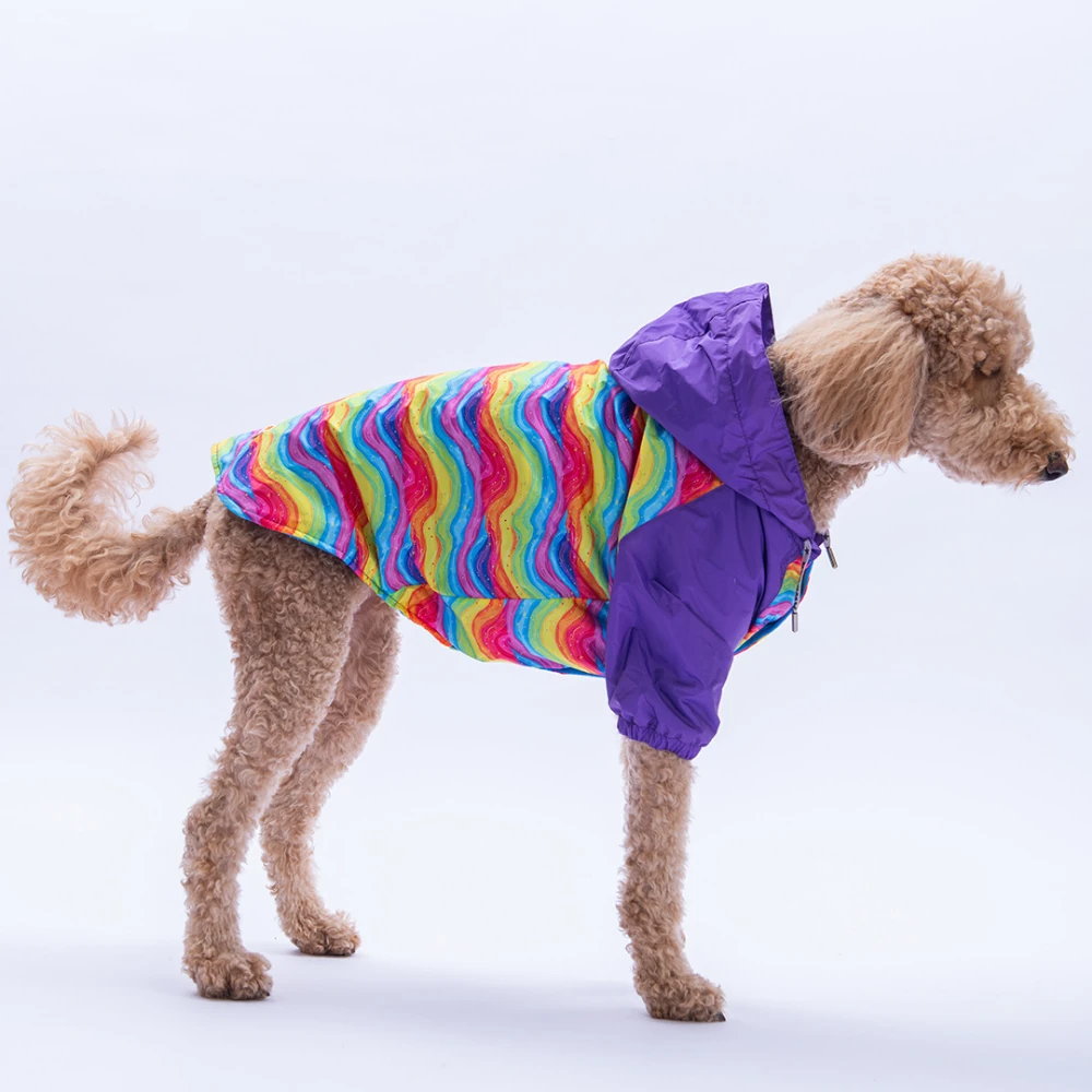 25556 Rio Rainbow  Büyük Irk Yağmurluk