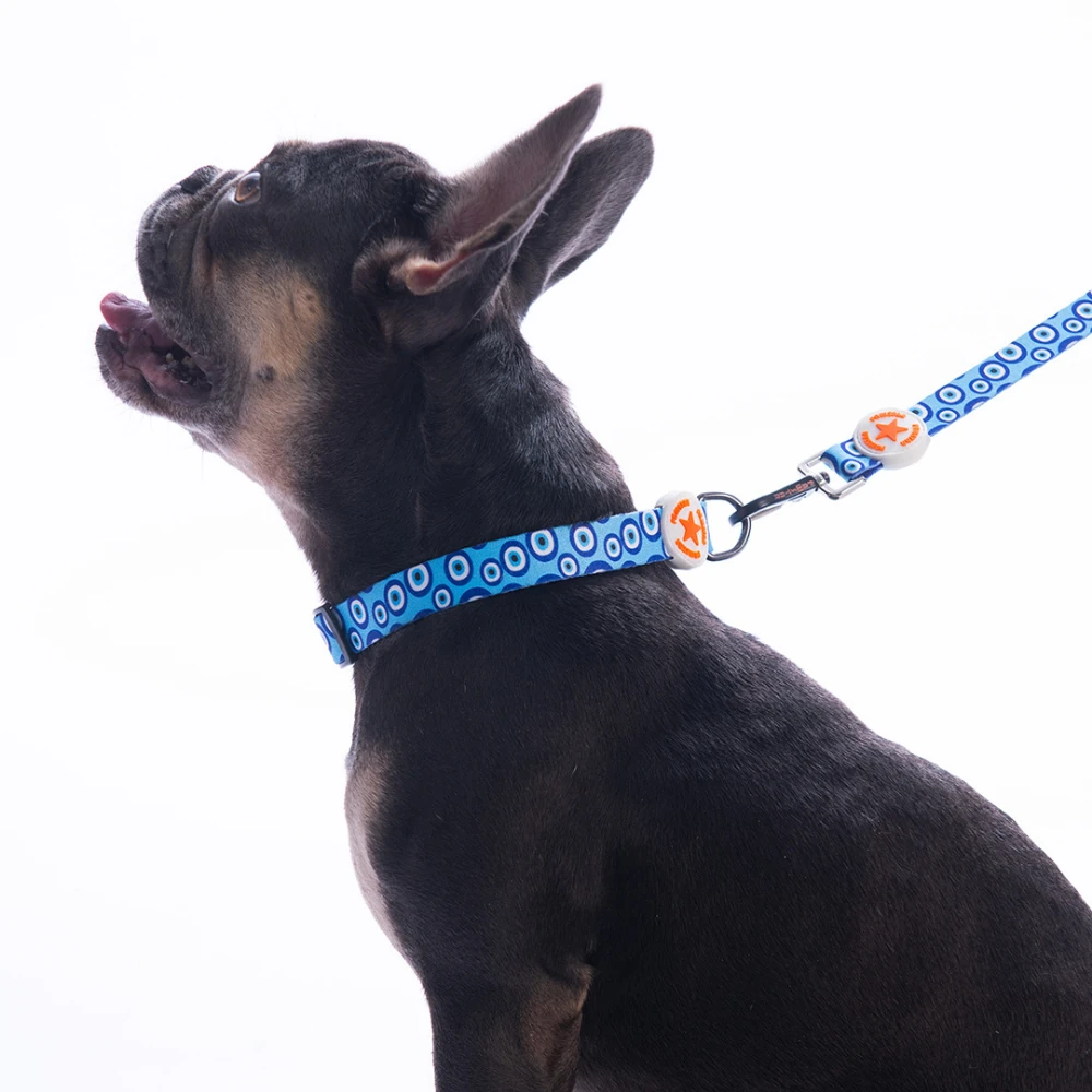 DC38-Charm Boyun Tasması