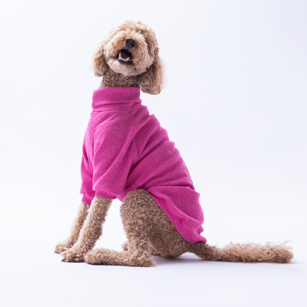 Fuşya Pooh's Ashdown Piglet Büyük Irk Triko  Sweat