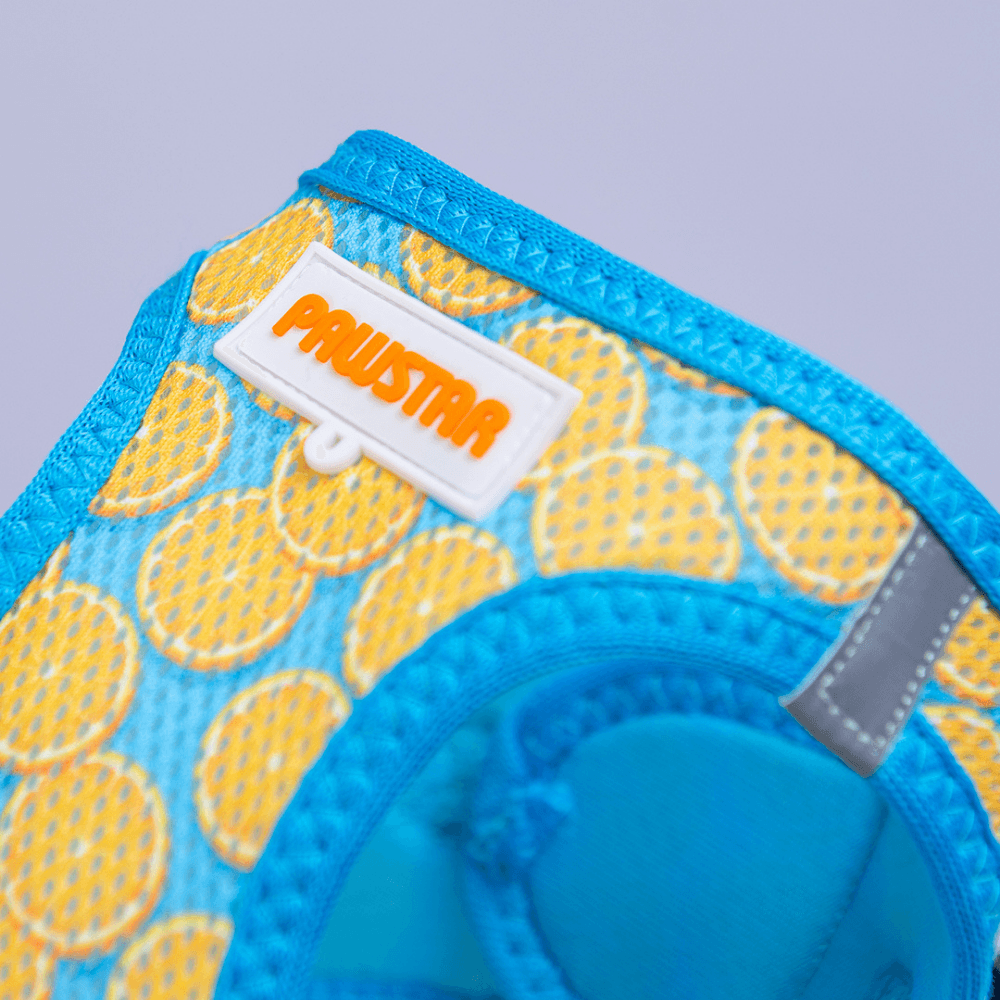 A37-Citrus Airmesh