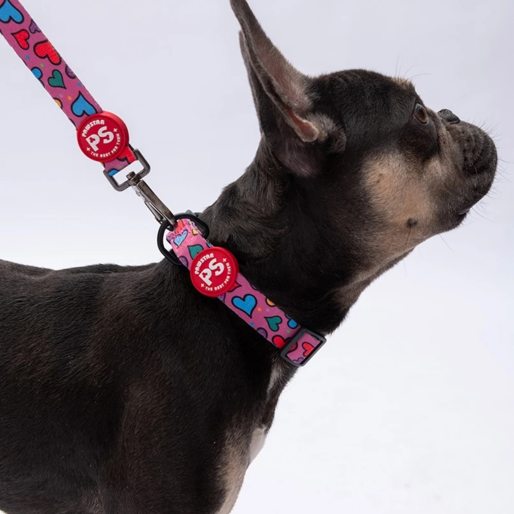 DC23-Hearts Boyun Tasması