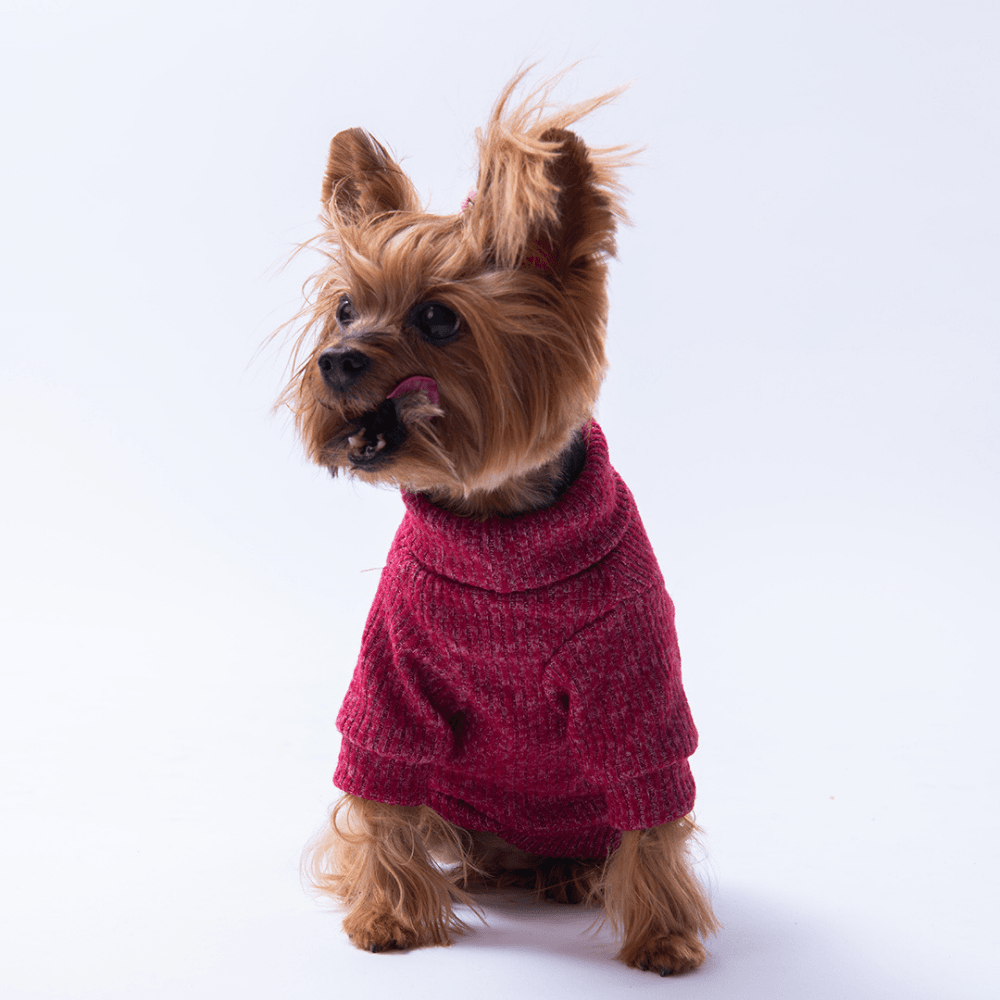 Bordo Pooh's Ashdown Winnie Triko Sweat