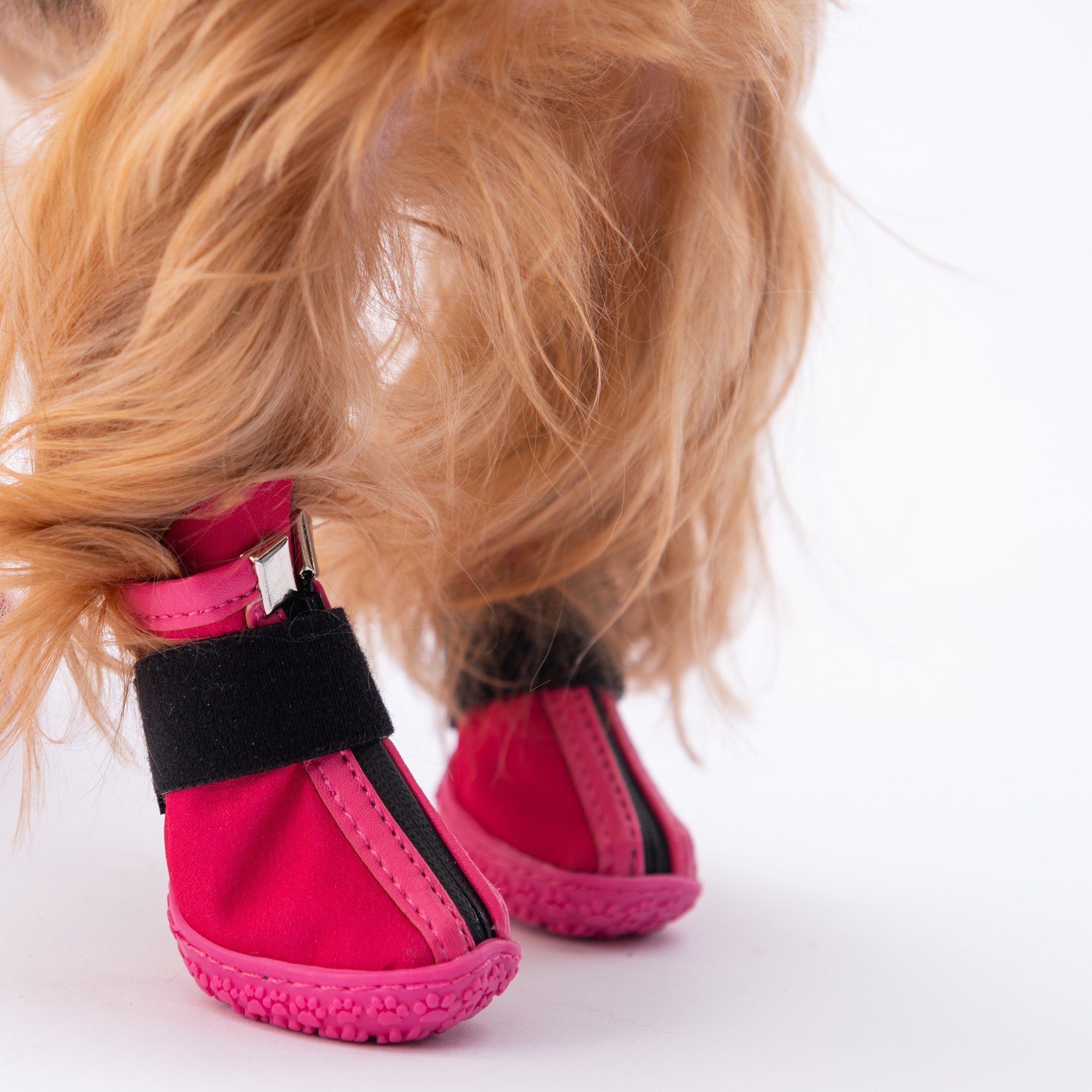 PDS08 Fuşya Köpek Ayakkabısı