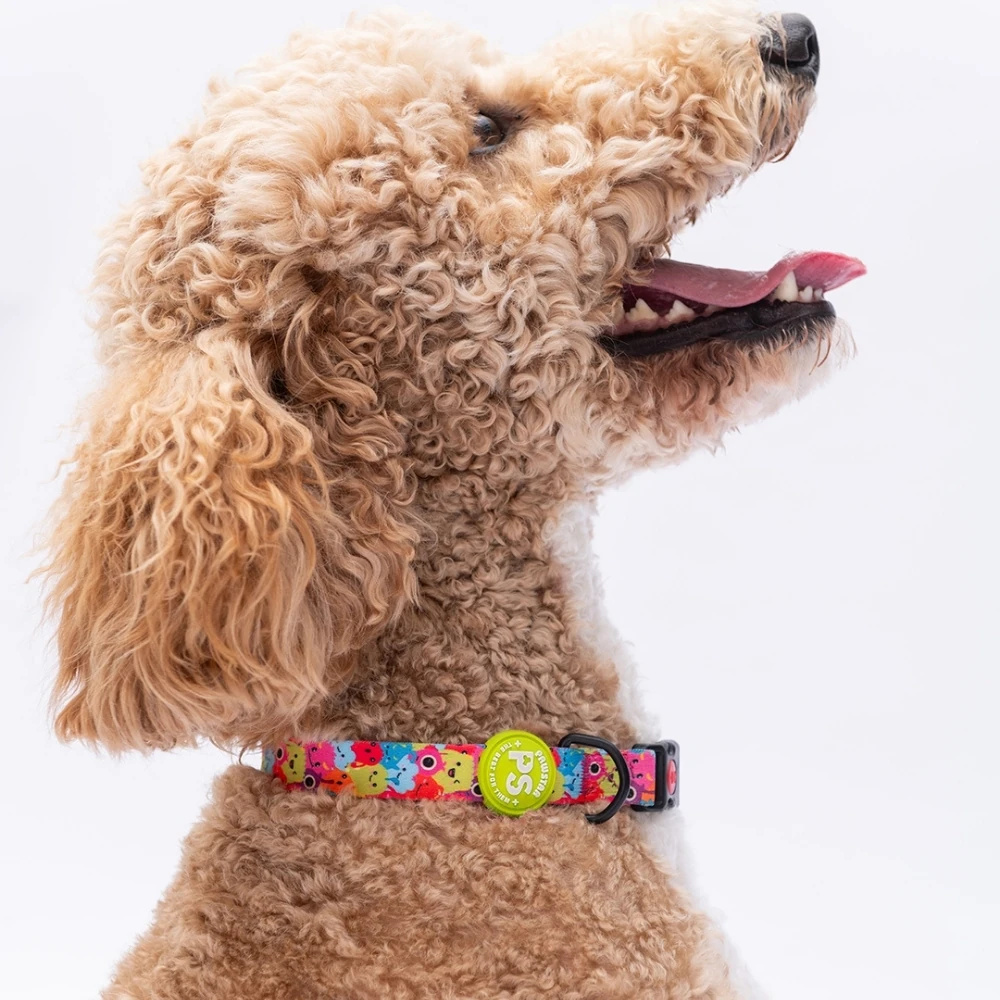 DC29-Monsters Boyun Tasması