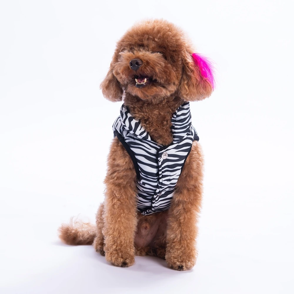 25107 Lodwar Street Yelek