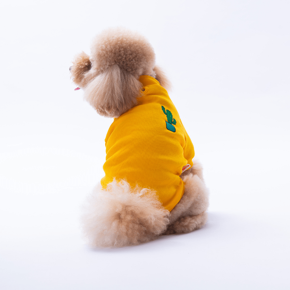 25708-Sarı Cactus Kaşkorse Sweat