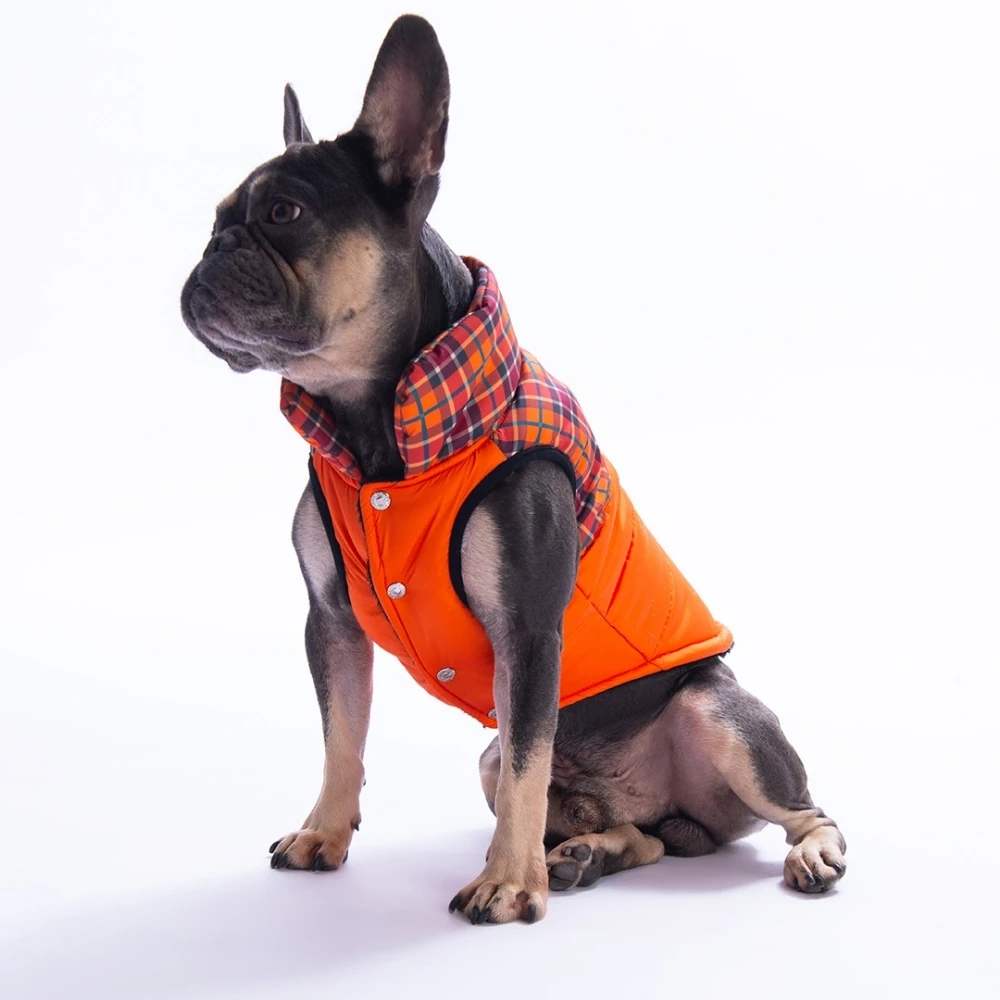 25102 Turuncu Elgin Paws Yelek