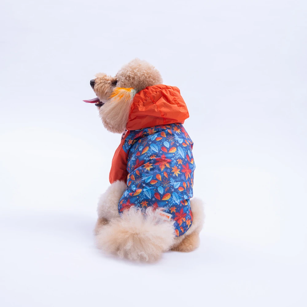 25515  Amsterdam Fall Yağmurluk