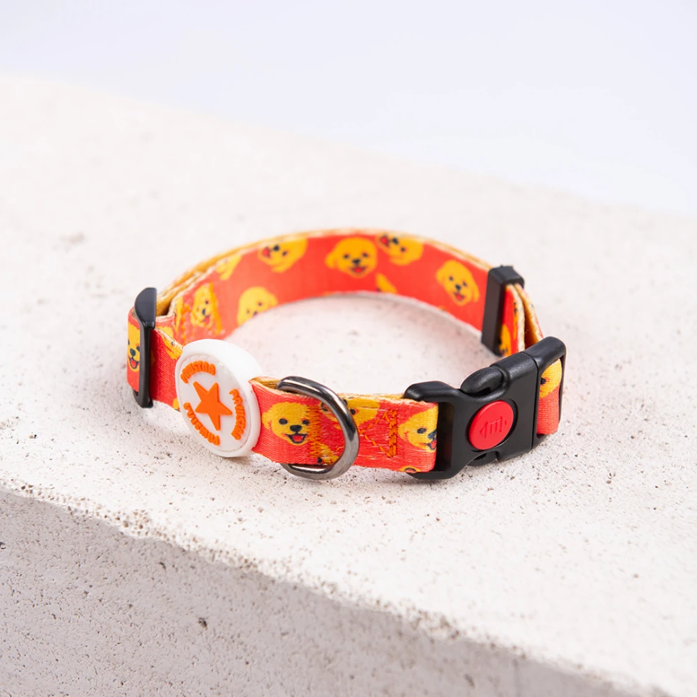 DC31-Poodle Boyun Tasması