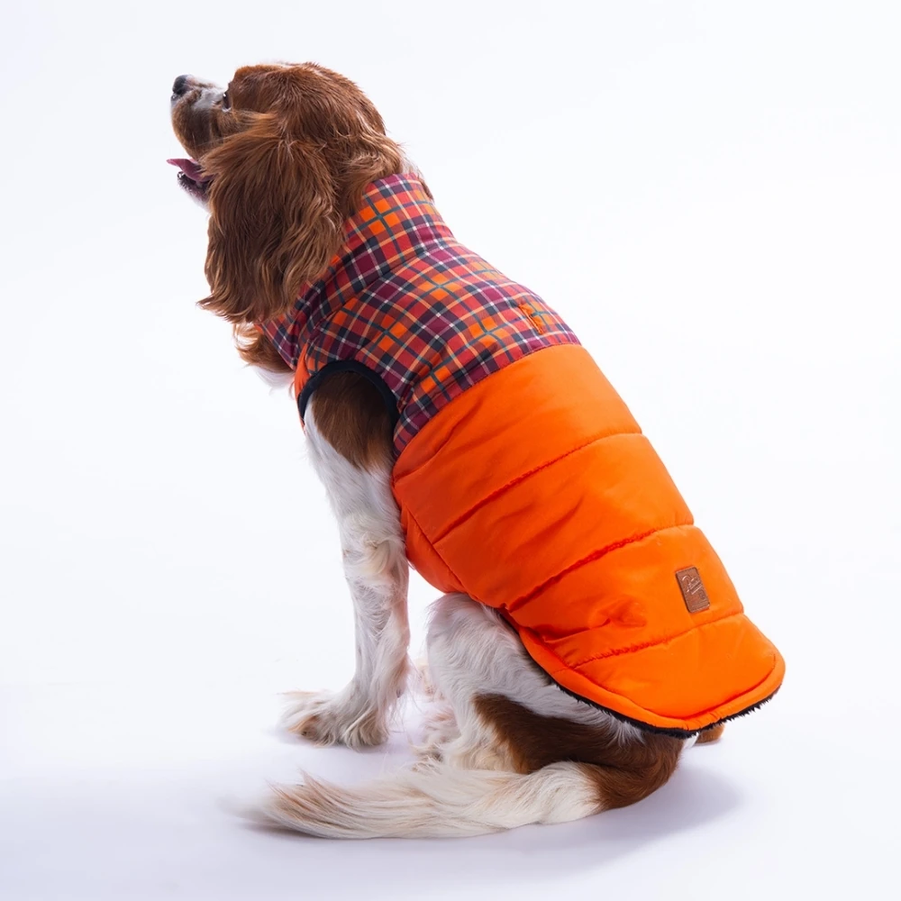 25102 Turuncu Elgin Paws Yelek