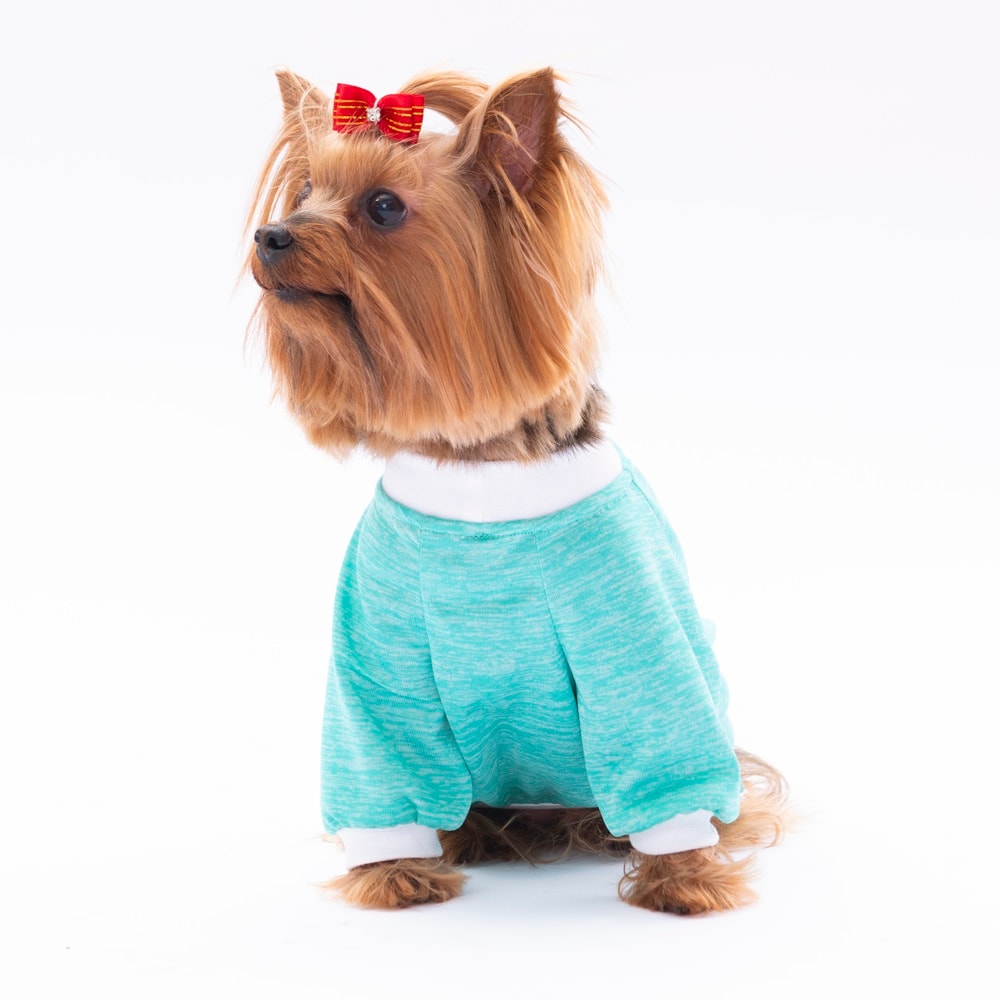 24716 Mint Fun Day Sweat