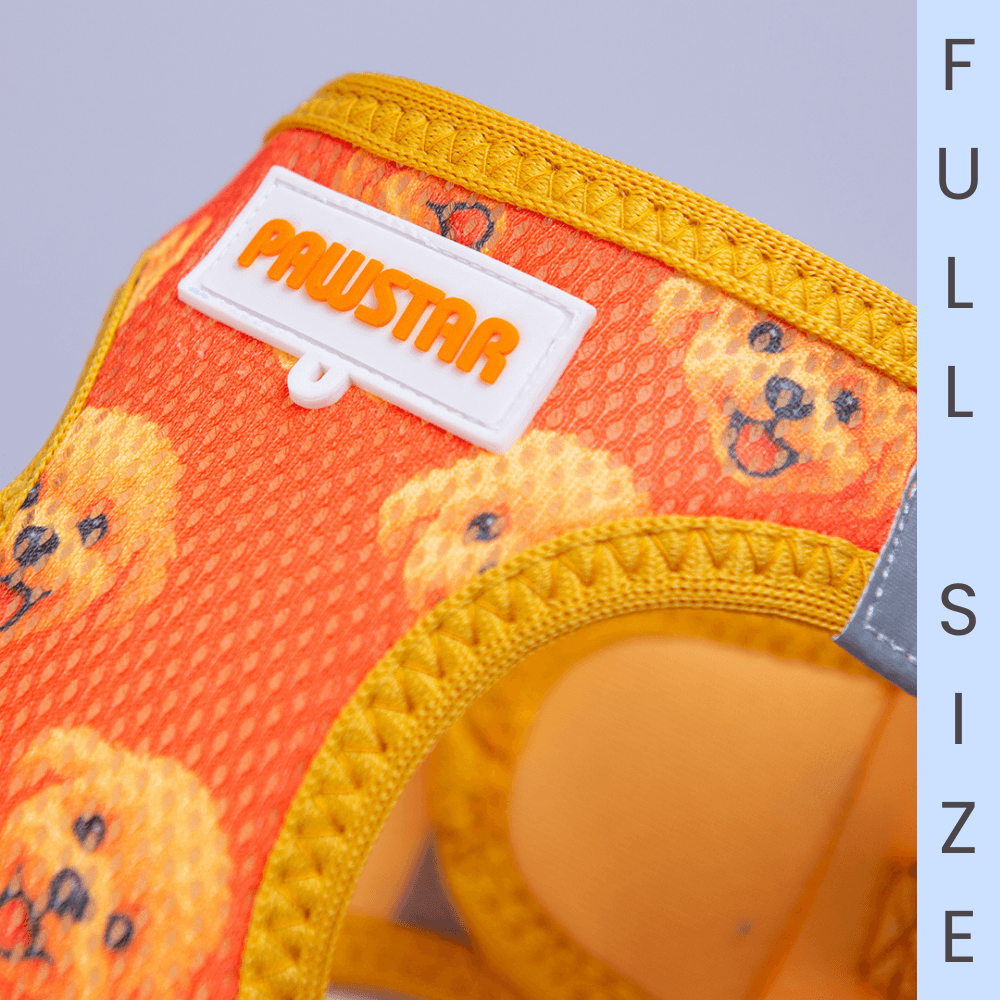 A31-Poodle Airmesh Full Size