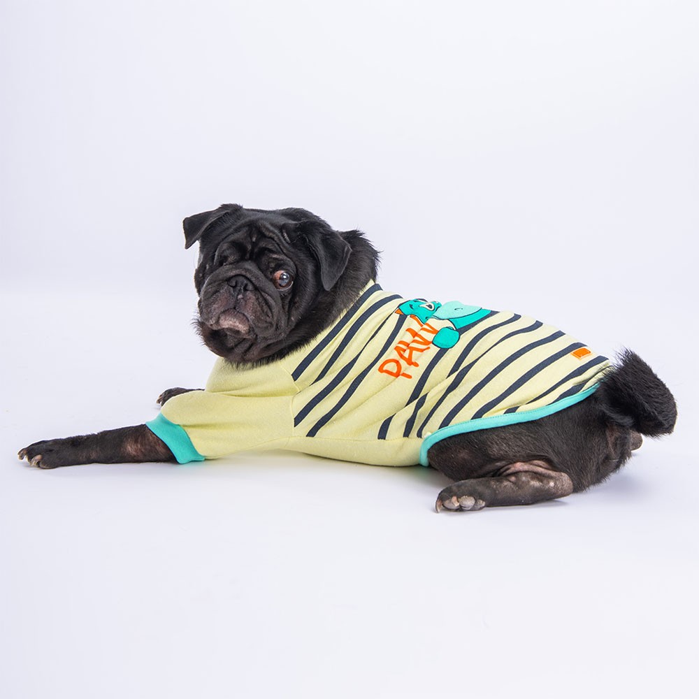 23727 Limon Dino Star Sweat