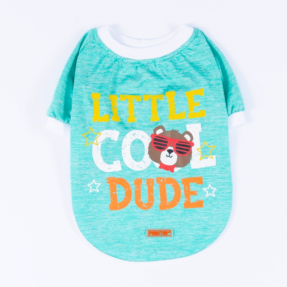 24720 Mint Dude Sweat