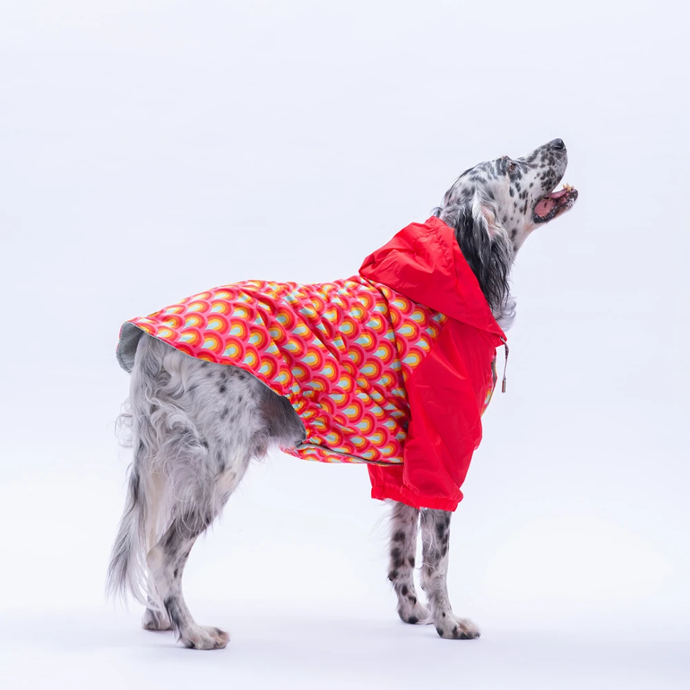 25555 Lisbon Sunset  Büyük Irk Yağmurluk