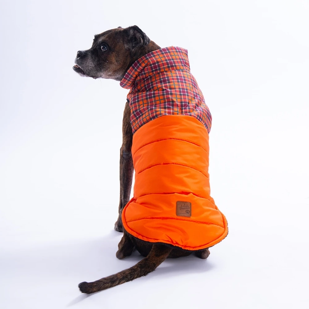 25151 Turuncu Elgin Paws Büyük Irk Yelek