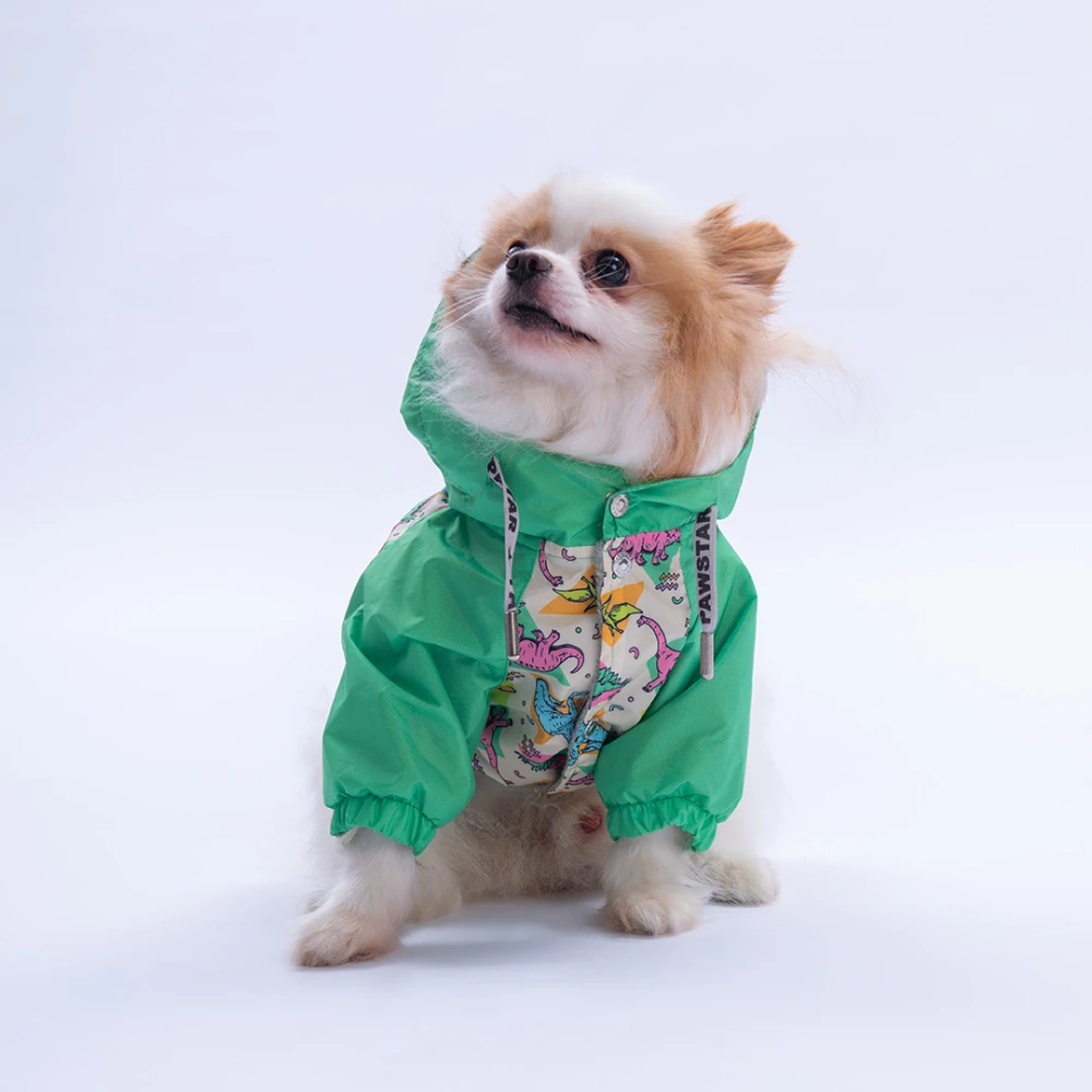 25511 Denver Dino Yağmurluk