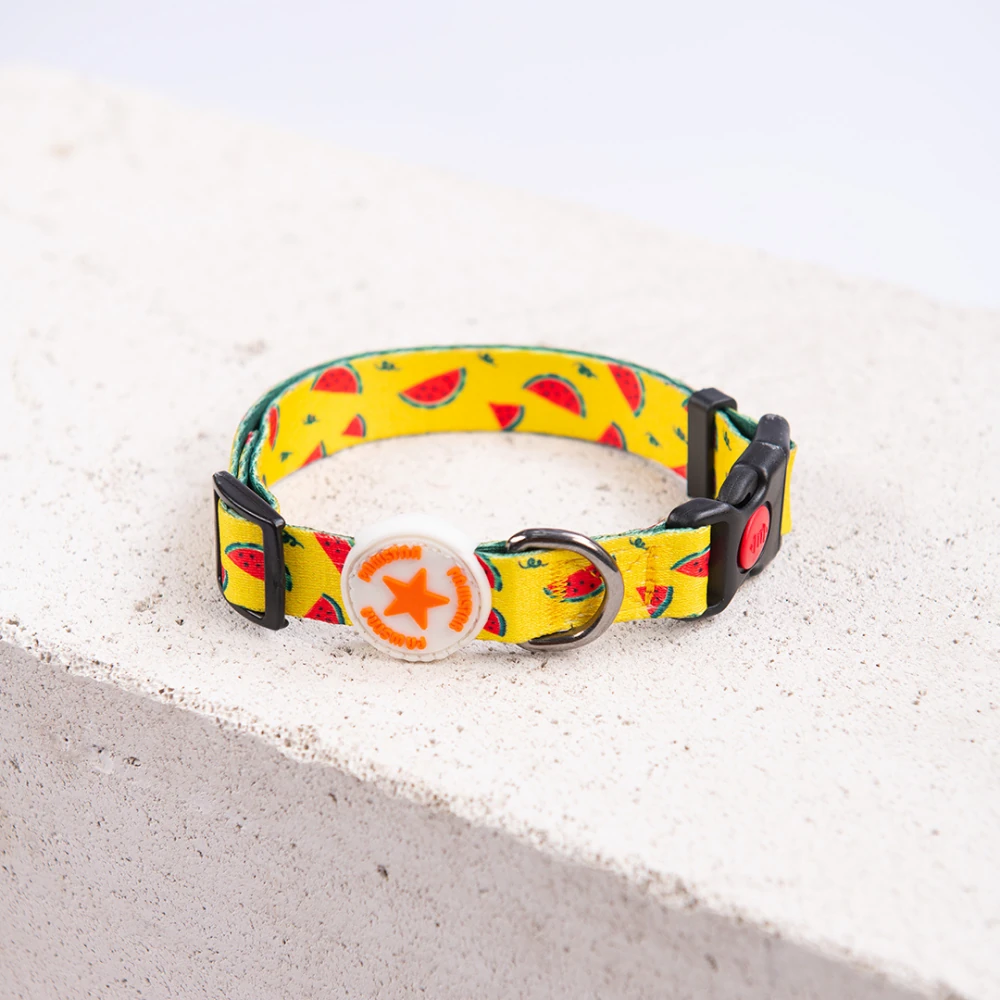 DC32-WaterMelon Boyun Tasması