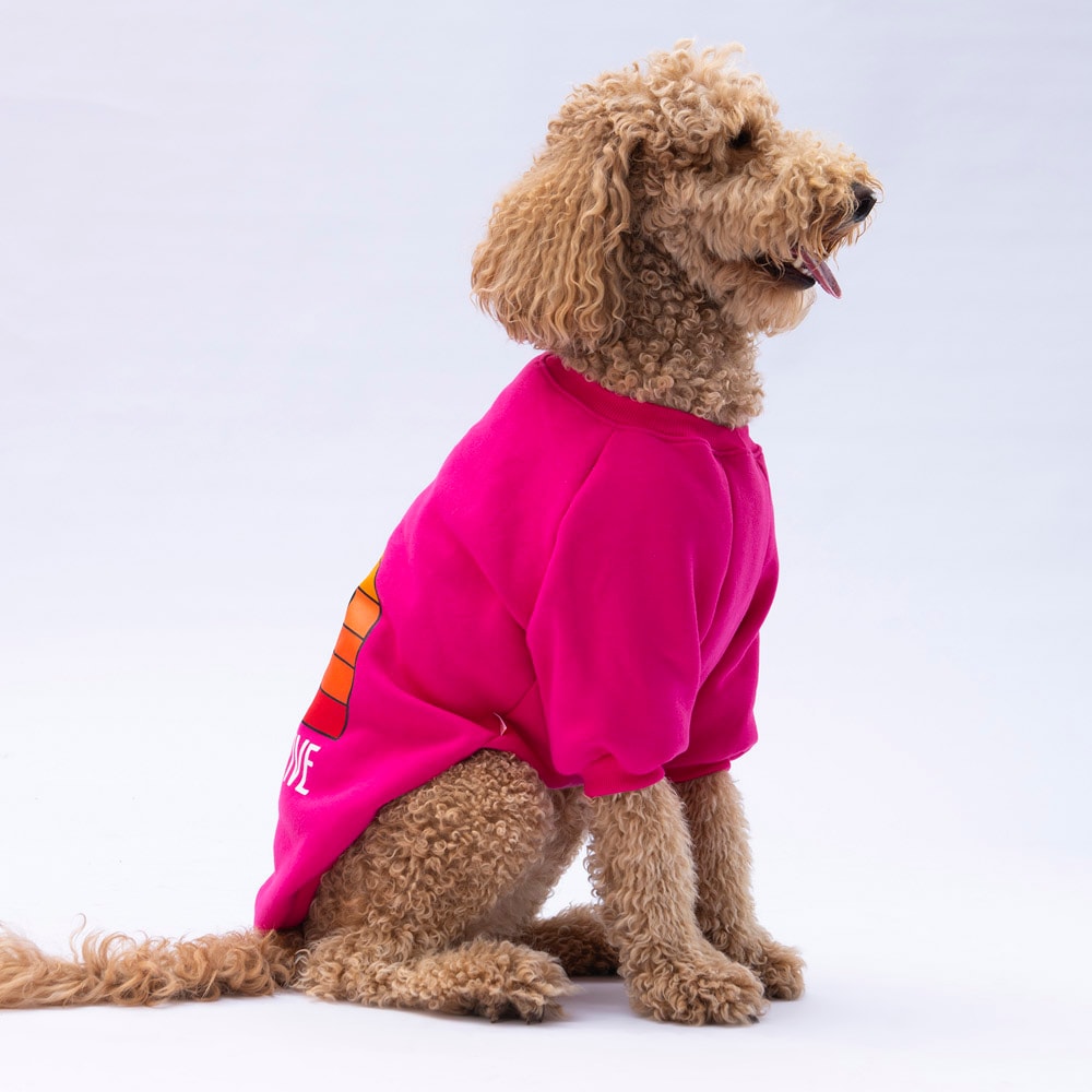 24757 Pembe Carmel Büyük Irk Sweat