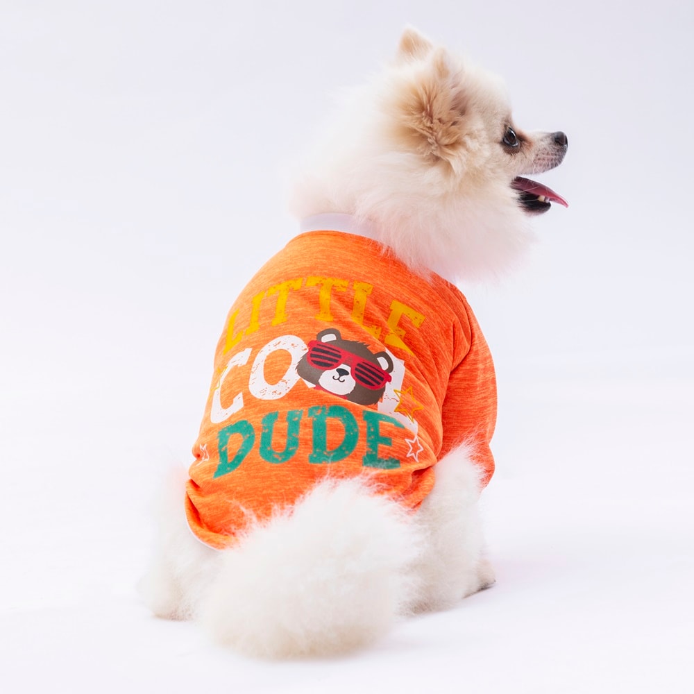 24717 Turuncu Dude Sweat