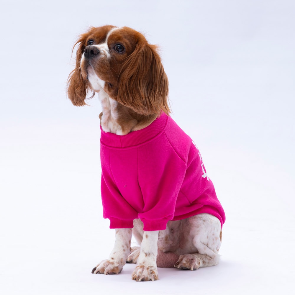 24740 Pembe Lahti Sweat