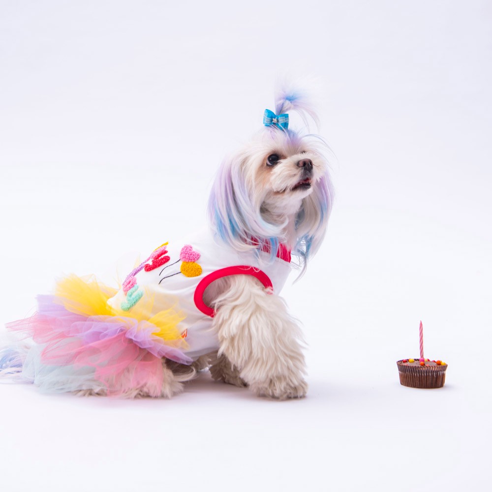 24306 Happy Birthday Elbise