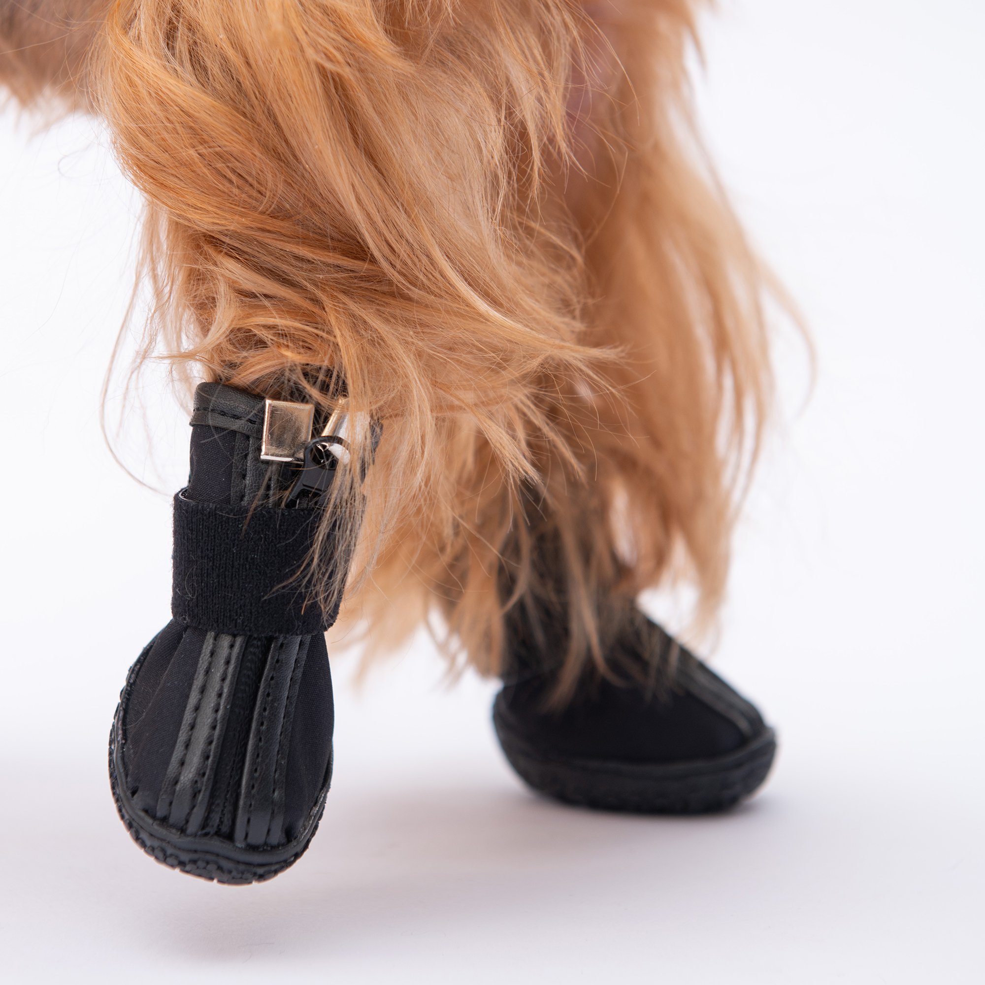 PDS06 Siyah Köpek Ayakkabısı