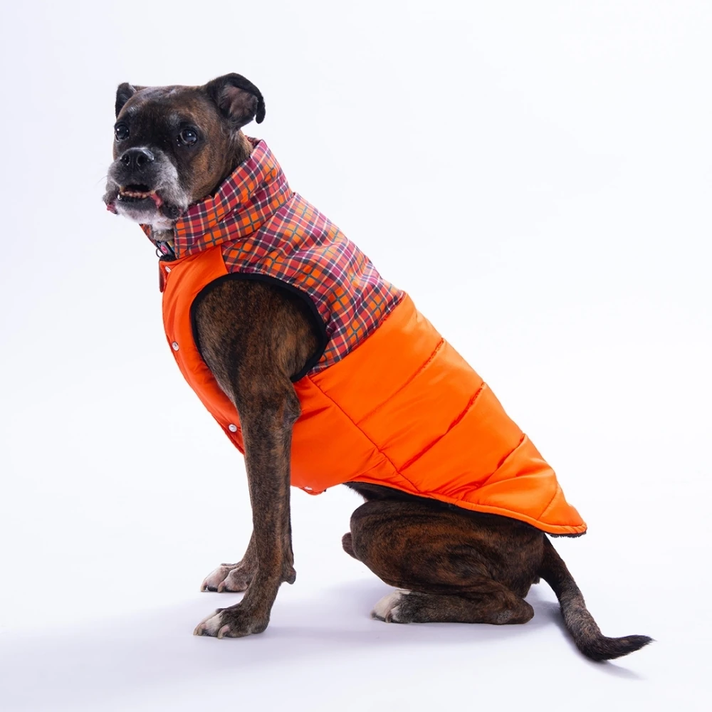 25151 Turuncu Elgin Paws Büyük Irk Yelek