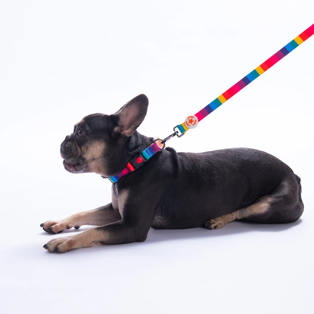 DC34-Rainbow Boyun Tasması