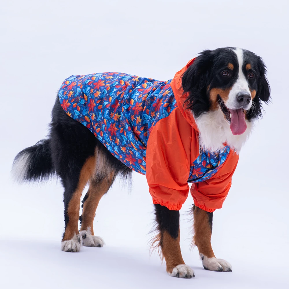 25557 Amsterdam Fall Büyük Irk Yağmurluk