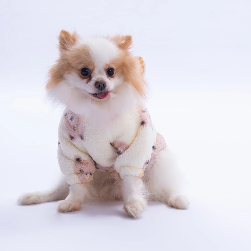 25726 Kahverengi SapporoBear Hoodie