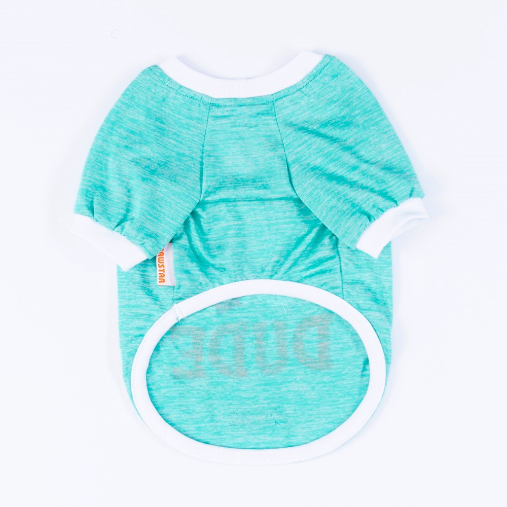 24720 Mint Dude Sweat