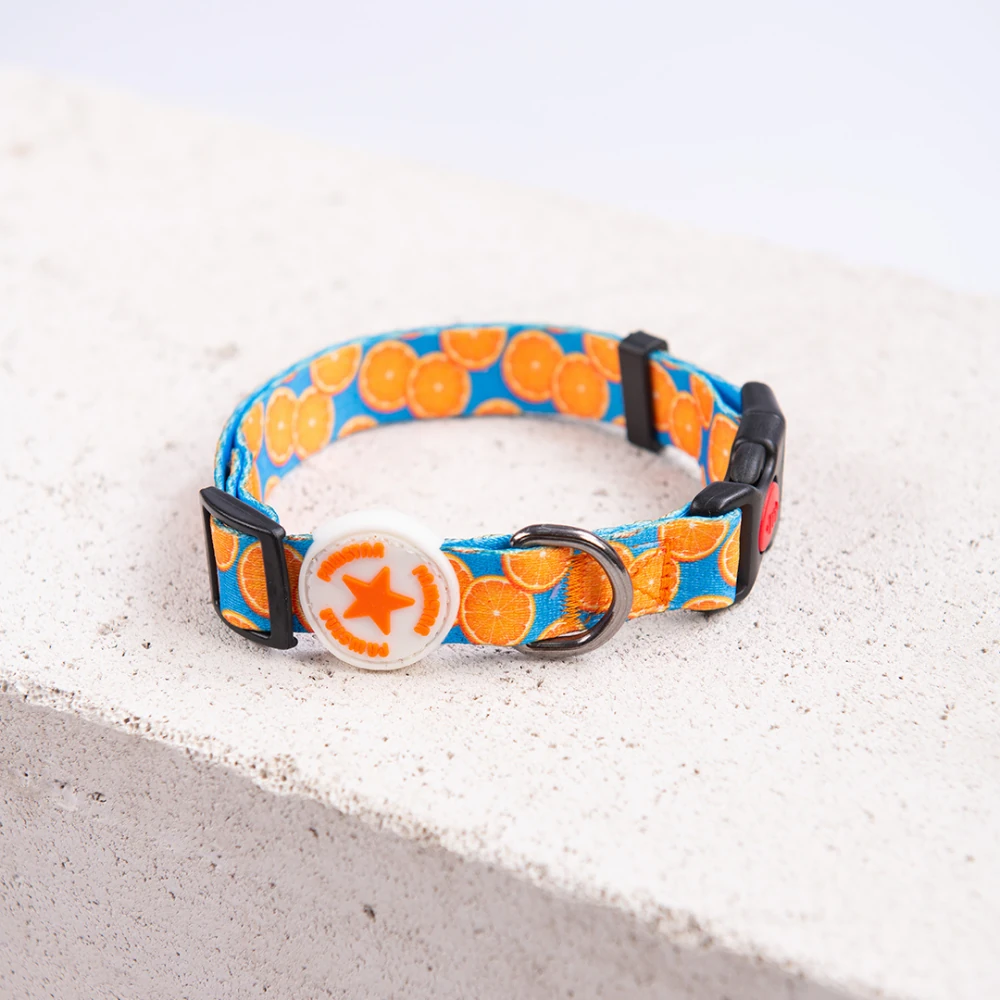 DC37-Citrus Boyun Tasması