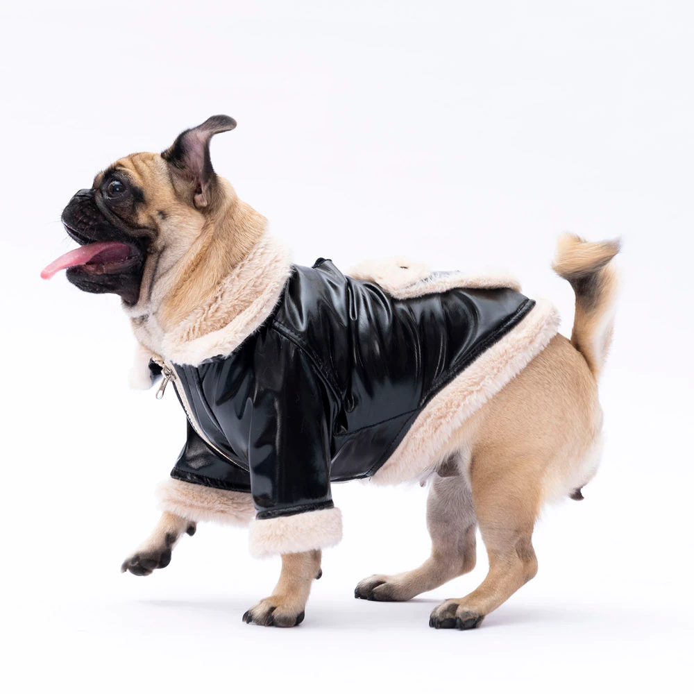 24203 Siyah Vegas Ceket