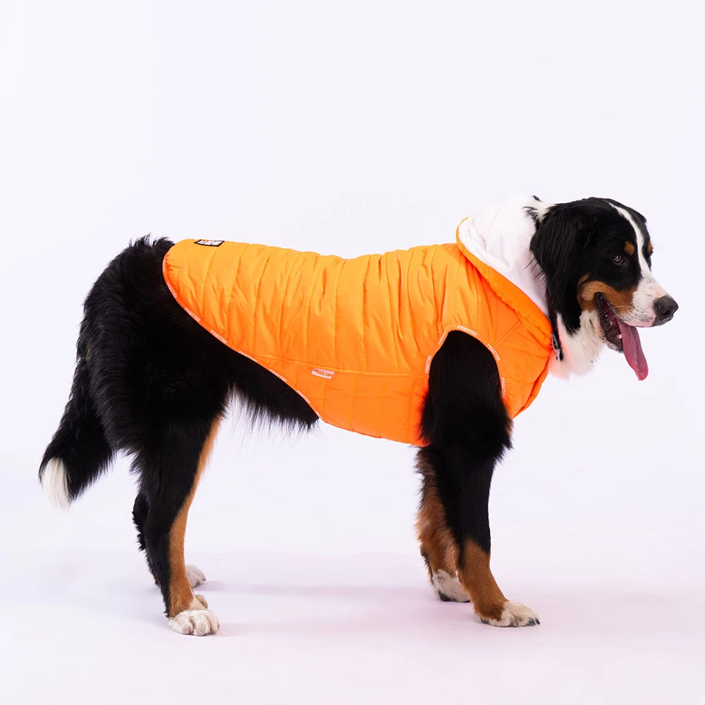 23157 Neon Turuncu Railway Büyük Irk Yelek