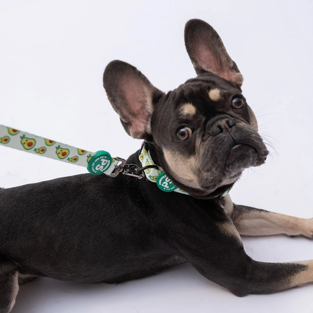 DC21-Avocado Boyun Tasması