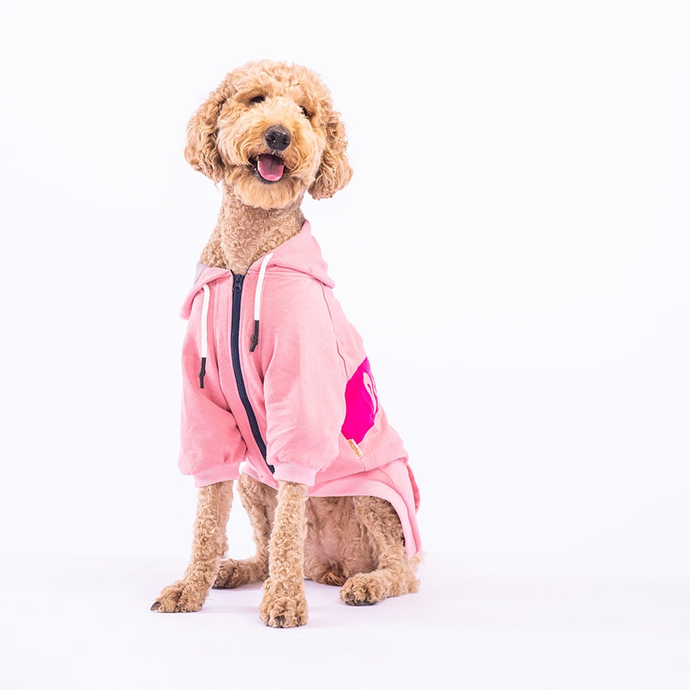 23252 Pembe Angry Dog Büyük Irk Ceket
