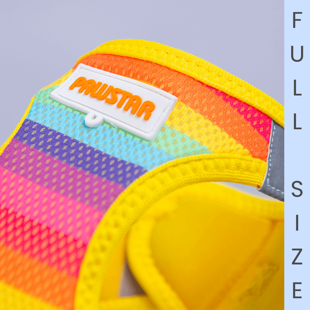  A34-Rainbow Air-Mesh Full Size