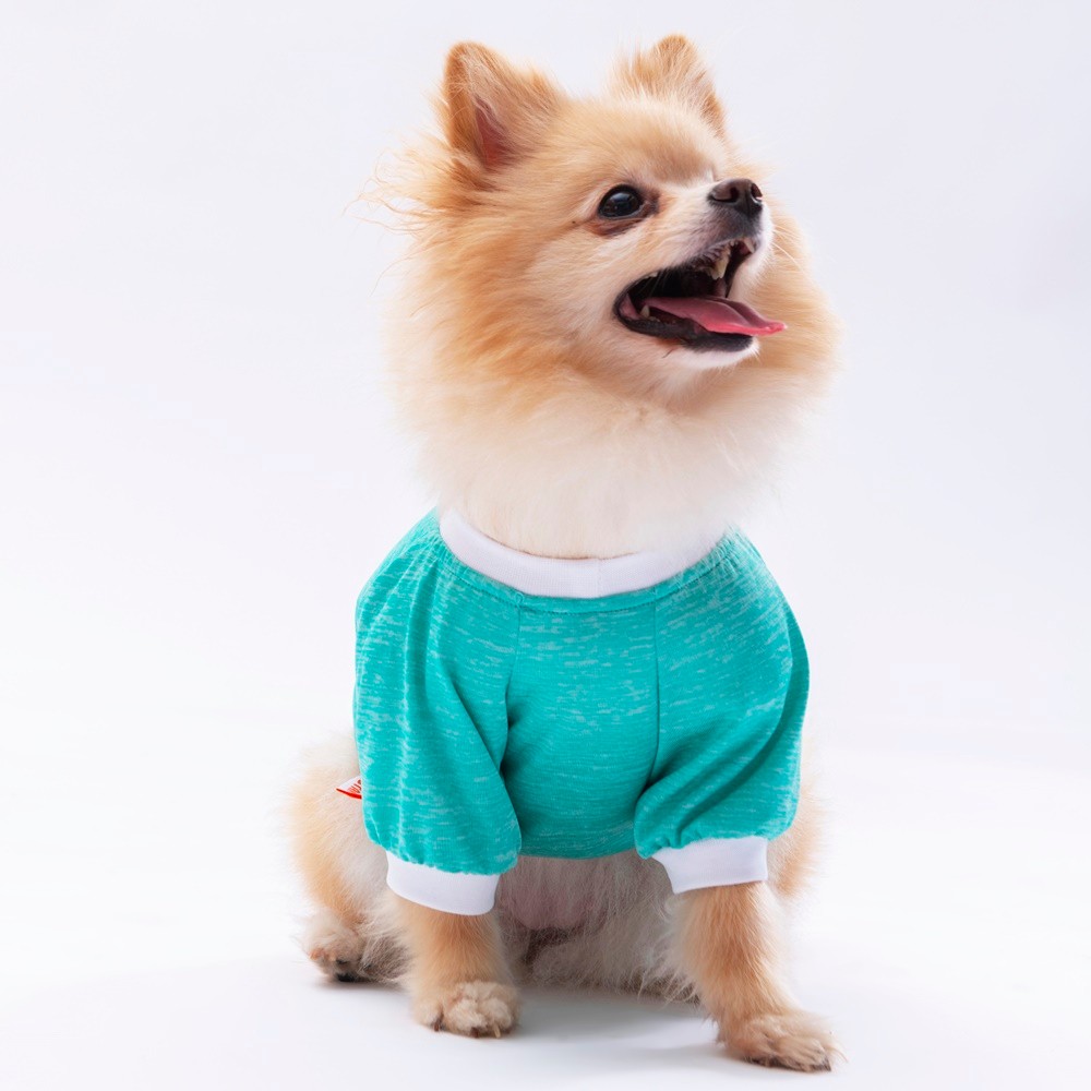 24720 Mint Dude Sweat