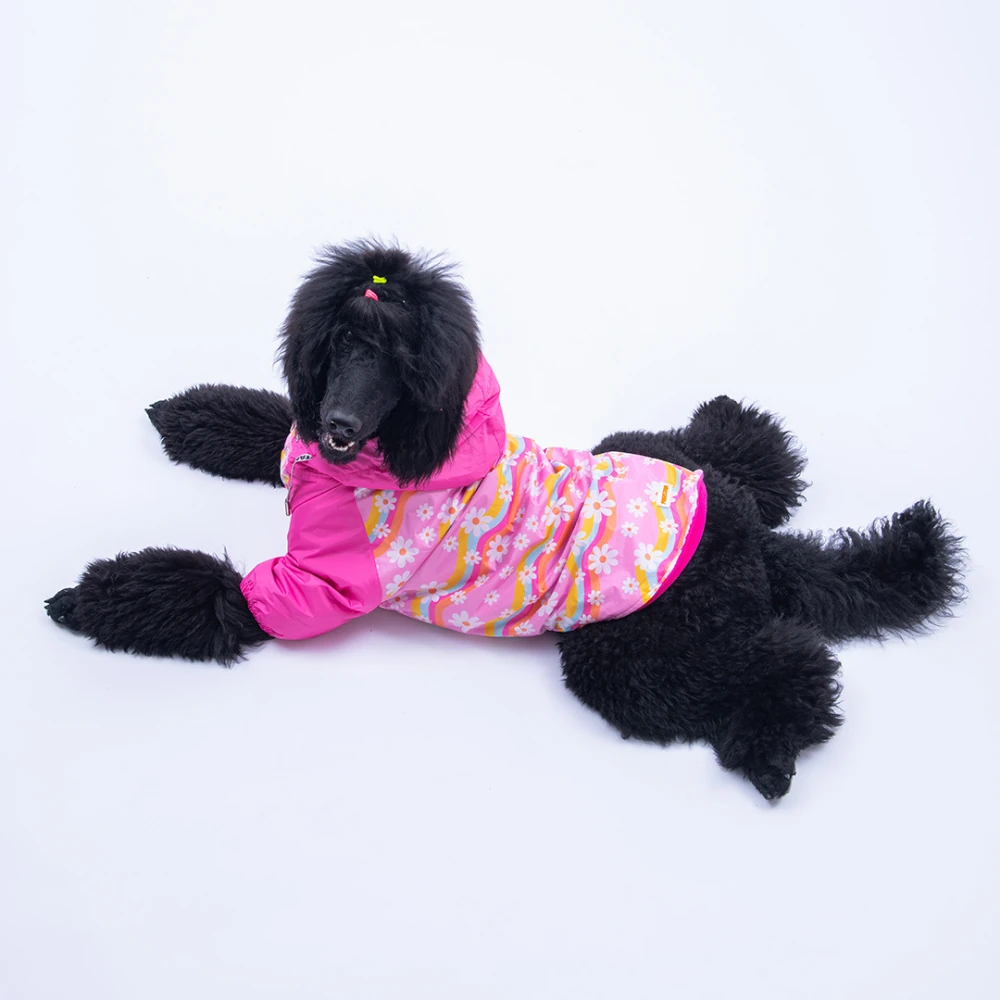 25551 Florence Daisy Büyük Irk Yağmurluk