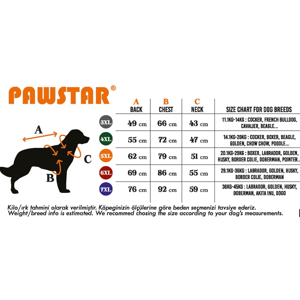 Fuşya Pooh's Ashdown Piglet Büyük Irk Triko  Sweat