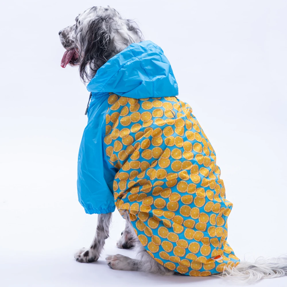 25552 Nice Citrus  Büyük Irk Yağmurluk