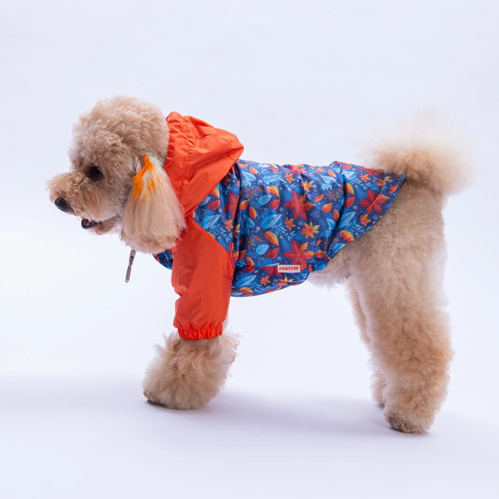 25515  Amsterdam Fall Yağmurluk