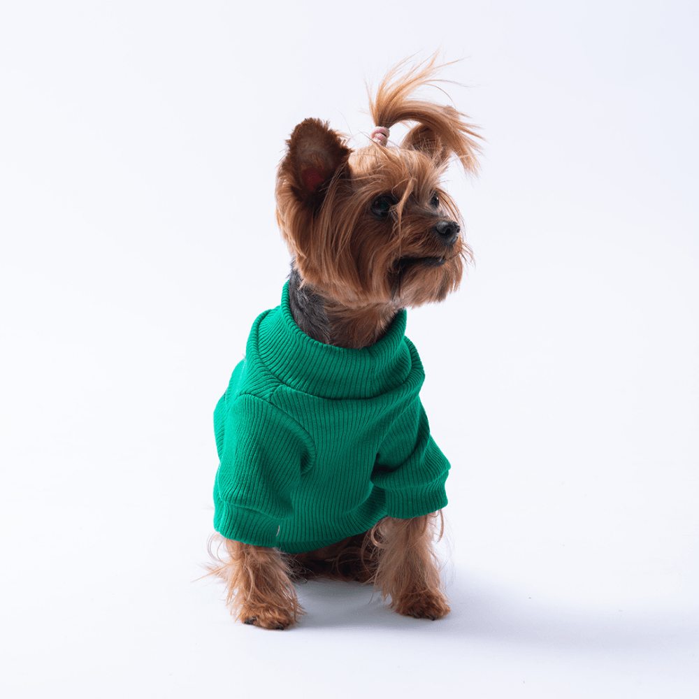 25710-Yeşil Avocado Kaşkorse Sweat