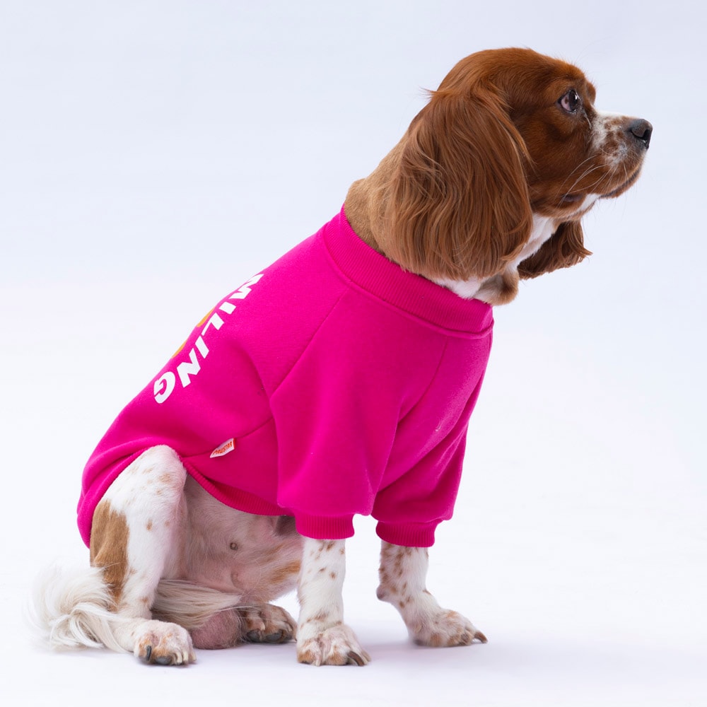 24740 Pembe Lahti Sweat
